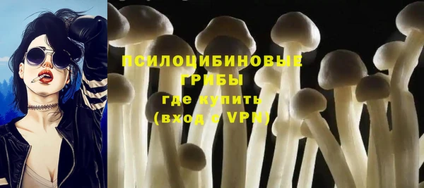 стаф Алексеевка