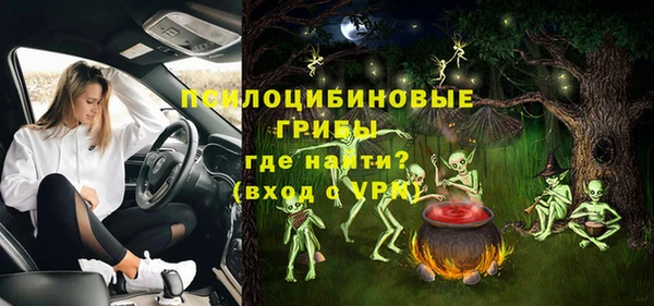 spice Алзамай