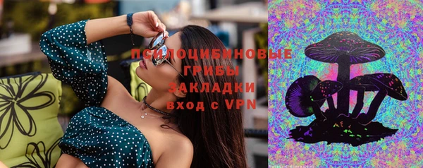 spice Алзамай
