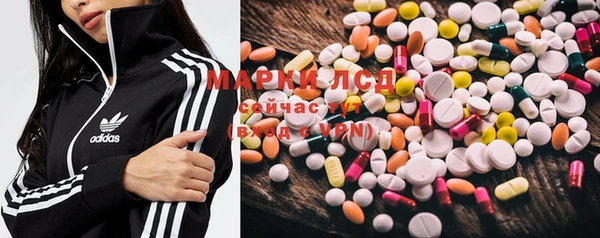 spice Алзамай