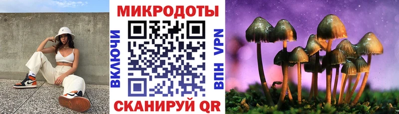 Псилоцибиновые грибы мухоморы  площадка формула  Сунжа 