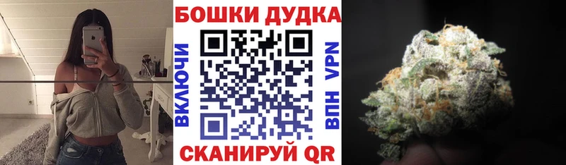 hydra ТОР  как найти закладки  Сунжа  Каннабис семена 